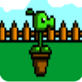 PVZ盆栽豌豆3游戏安卓版 v0.0.1