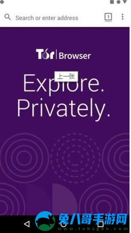 tor browser