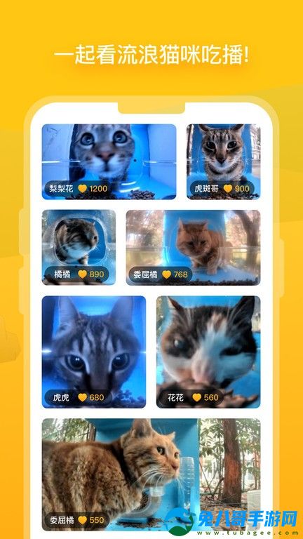 哈啰街猫app