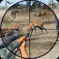 野外动物打靶游戏最新安卓版(Wild Animal Shooting) v1.8