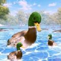 虚拟的鸭生活模拟器游戏ios版 v1.0.0