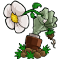 植物大战僵尸beta版下载隐藏植物小游戏下载 v6.25