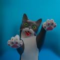 搞笑猫3D游戏安卓版（Funny Cat 3D） v2.0