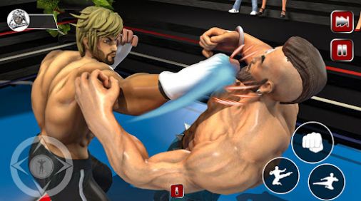 摔跤比赛冠军3D游戏官方中文版（Wrestling Game） v1.0