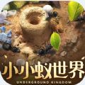 小小蚁世界游戏官方最新版 v1.31.1