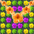 花卉匹配大师游戏安卓版（Flower Match Master） v1.1.3