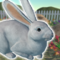 兔子朋友游戏安卓版（usagi） v1.3.0