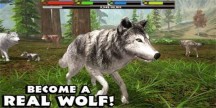 灰狼模拟器2中文版 