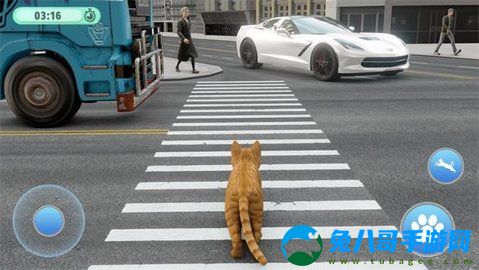 虚拟猫生存模拟安装手机版 